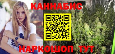 стафф Нальчик
