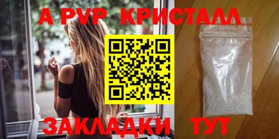 стафф Нальчик